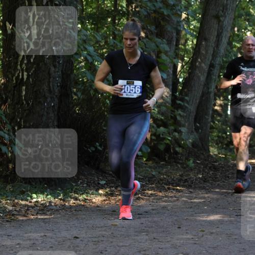 28.09.2025 - 33. Volkslauf durch das schöne Alstertal Strokosch-Dieckow http://msf.ph/oto/8969774 28.09.2025 11:35:33 Laufen 056 meine-sportfotos.de