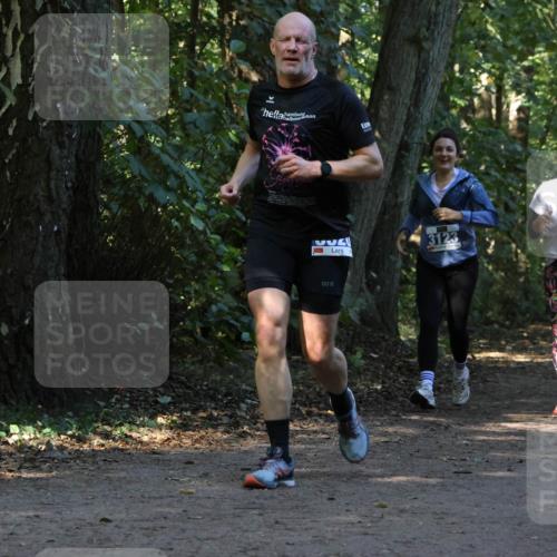 28.09.2025 - 33. Volkslauf durch das schöne Alstertal Strokosch-Dieckow http://msf.ph/oto/8969777 28.09.2025 11:35:35 Laufen 3123, 3130 meine-sportfotos.de