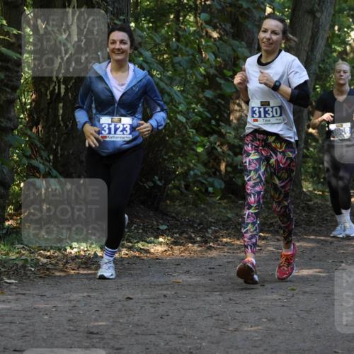28.09.2025 - 33. Volkslauf durch das schöne Alstertal Strokosch-Dieckow http://msf.ph/oto/8969781 28.09.2025 11:35:38 Laufen 3123, 95, 3130, 3958, 3214 meine-sportfotos.de