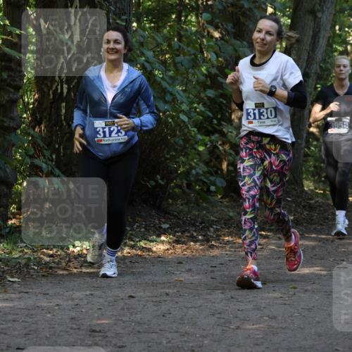 28.09.2025 - 33. Volkslauf durch das schöne Alstertal Strokosch-Dieckow http://msf.ph/oto/8969782 28.09.2025 11:35:38 Laufen 3125, 3130, 3959, 3214 meine-sportfotos.de