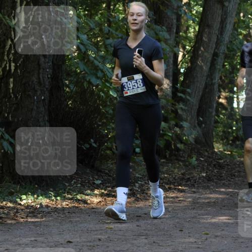 28.09.2025 - 33. Volkslauf durch das schöne Alstertal Strokosch-Dieckow http://msf.ph/oto/8969784 28.09.2025 11:35:40 Laufen 3958, 3214 meine-sportfotos.de