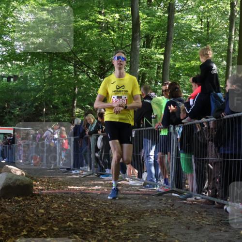 28.09.2025 - 33. Volkslauf durch das schöne Alstertal Strokosch-Dieckow http://msf.ph/oto/8969785 28.09.2025 11:50:34 Ziel 2389, 2995 meine-sportfotos.de