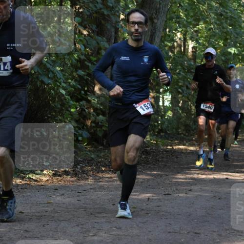 28.09.2025 - 33. Volkslauf durch das schöne Alstertal Strokosch-Dieckow http://msf.ph/oto/8969790 28.09.2025 11:35:42 Laufen 3214, 153, 1540 meine-sportfotos.de