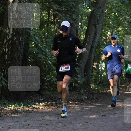 28.09.2025 - 33. Volkslauf durch das schöne Alstertal Strokosch-Dieckow http://msf.ph/oto/8969792 28.09.2025 11:35:44 Laufen 1540 meine-sportfotos.de