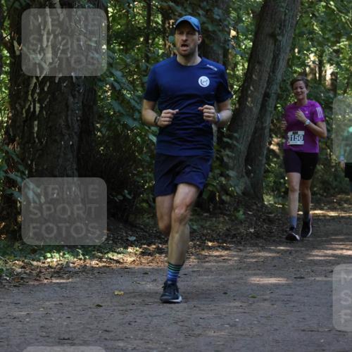 28.09.2025 - 33. Volkslauf durch das schöne Alstertal Strokosch-Dieckow http://msf.ph/oto/8969795 28.09.2025 11:35:46 Laufen 3150, 3951, 3120 meine-sportfotos.de