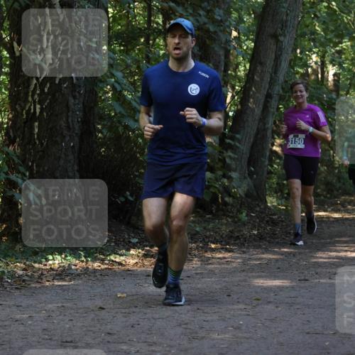 28.09.2025 - 33. Volkslauf durch das schöne Alstertal Strokosch-Dieckow http://msf.ph/oto/8969796 28.09.2025 11:35:46 Laufen 3150, 3951, 3221, 3120 meine-sportfotos.de