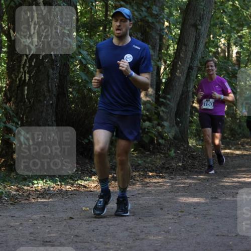 28.09.2025 - 33. Volkslauf durch das schöne Alstertal Strokosch-Dieckow http://msf.ph/oto/8969797 28.09.2025 11:35:46 Laufen 3150, 3951, 3120 meine-sportfotos.de