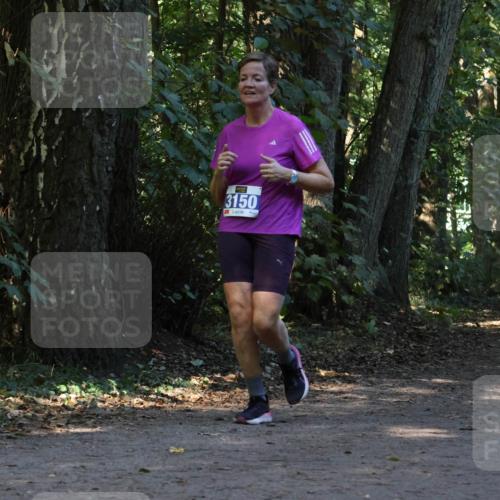 28.09.2025 - 33. Volkslauf durch das schöne Alstertal Strokosch-Dieckow http://msf.ph/oto/8969798 28.09.2025 11:35:48 Laufen 3150, 3951 meine-sportfotos.de