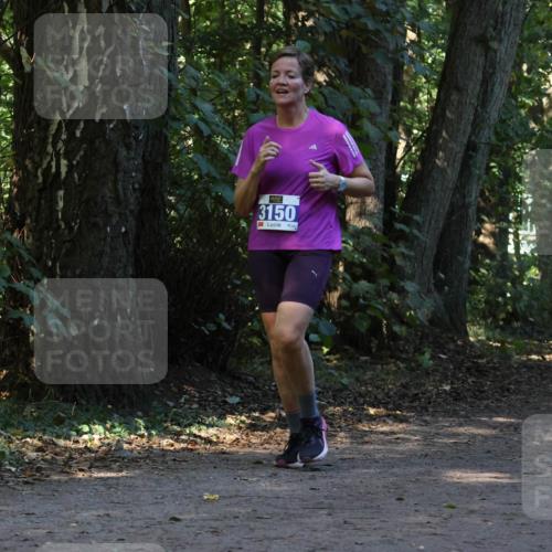 28.09.2025 - 33. Volkslauf durch das schöne Alstertal Strokosch-Dieckow http://msf.ph/oto/8969799 28.09.2025 11:35:48 Laufen 3150, 3951 meine-sportfotos.de