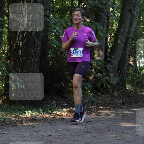 28.09.2025 - 33. Volkslauf durch das schöne Alstertal Strokosch-Dieckow http://msf.ph/oto/8969800 28.09.2025 11:35:48 Laufen 3150, 3951 meine-sportfotos.de