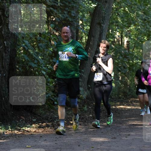 28.09.2025 - 33. Volkslauf durch das schöne Alstertal Strokosch-Dieckow http://msf.ph/oto/8969801 28.09.2025 11:35:52 Laufen 3951, 3120, 5332, 3228 meine-sportfotos.de