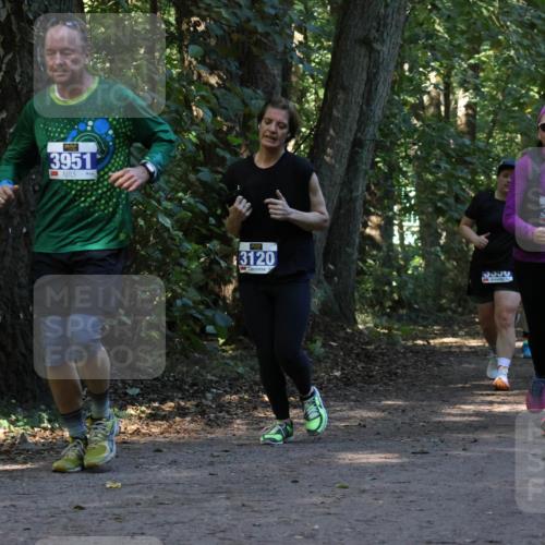 28.09.2025 - 33. Volkslauf durch das schöne Alstertal Strokosch-Dieckow http://msf.ph/oto/8969803 28.09.2025 11:35:53 Laufen 3951, 3228, 3120, 3, 3952 meine-sportfotos.de