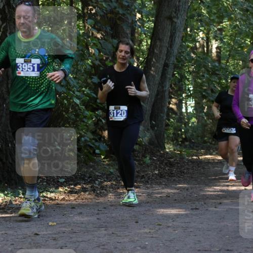 28.09.2025 - 33. Volkslauf durch das schöne Alstertal Strokosch-Dieckow http://msf.ph/oto/8969804 28.09.2025 11:35:53 Laufen 3951, 3120, 3228, 3952 meine-sportfotos.de