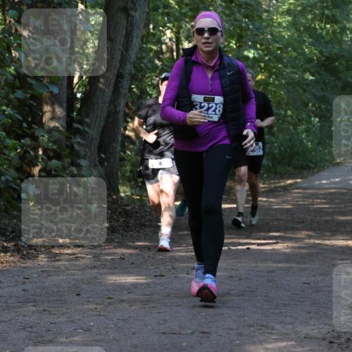 28.09.2025 - 33. Volkslauf durch das schöne Alstertal Strokosch-Dieckow http://msf.ph/oto/8969807 28.09.2025 11:35:55 Laufen 3228 meine-sportfotos.de