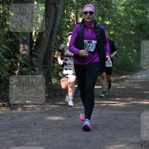 28.09.2025 - 33. Volkslauf durch das schöne Alstertal Strokosch-Dieckow http://msf.ph/oto/8969808 28.09.2025 11:35:55 Laufen 3228 meine-sportfotos.de