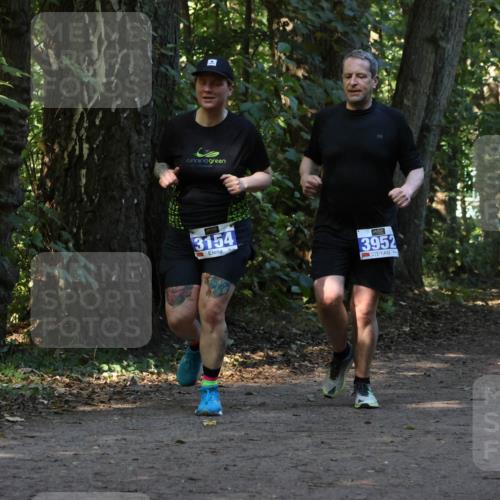 28.09.2025 - 33. Volkslauf durch das schöne Alstertal Strokosch-Dieckow http://msf.ph/oto/8969810 28.09.2025 11:35:58 Laufen 1, 3154, 3952 meine-sportfotos.de