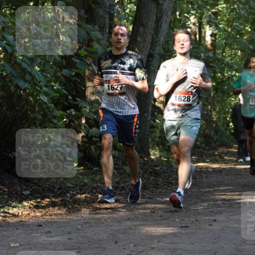 28.09.2025 - 33. Volkslauf durch das schöne Alstertal Strokosch-Dieckow http://msf.ph/oto/8969815 28.09.2025 11:36:23 Laufen 43, 1627, 1628, 1537 meine-sportfotos.de