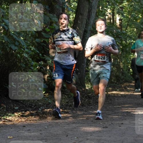 28.09.2025 - 33. Volkslauf durch das schöne Alstertal Strokosch-Dieckow http://msf.ph/oto/8969816 28.09.2025 11:36:23 Laufen 43, 16, 1628, 1537 meine-sportfotos.de