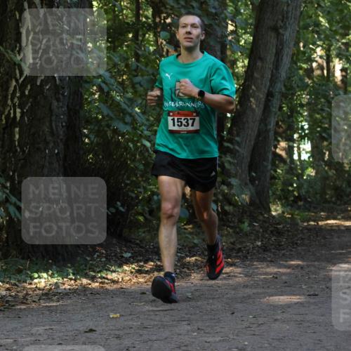 28.09.2025 - 33. Volkslauf durch das schöne Alstertal Strokosch-Dieckow http://msf.ph/oto/8969819 28.09.2025 11:36:27 Laufen 1537, 3072 meine-sportfotos.de