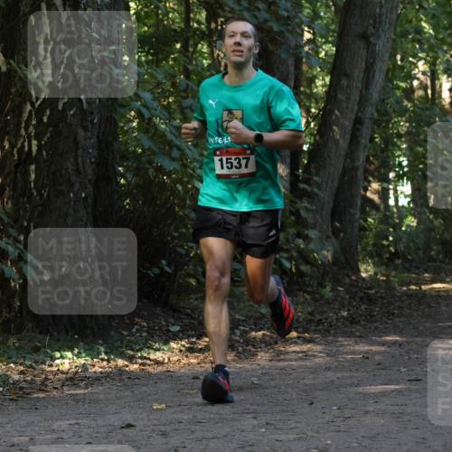 28.09.2025 - 33. Volkslauf durch das schöne Alstertal Strokosch-Dieckow http://msf.ph/oto/8969820 28.09.2025 11:36:27 Laufen 1537, 3072 meine-sportfotos.de