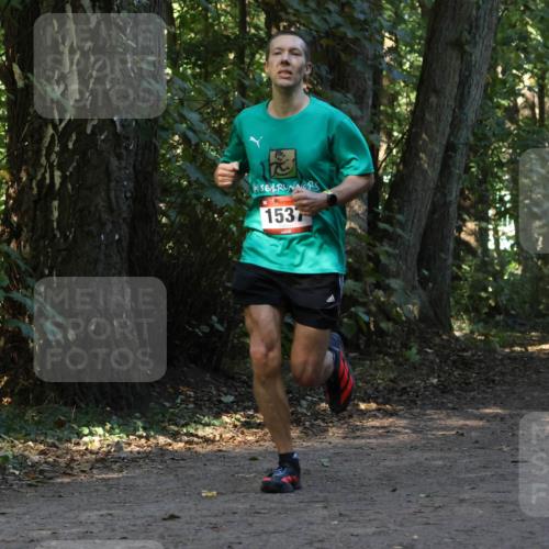 28.09.2025 - 33. Volkslauf durch das schöne Alstertal Strokosch-Dieckow http://msf.ph/oto/8969821 28.09.2025 11:36:27 Laufen 1537, 3072 meine-sportfotos.de