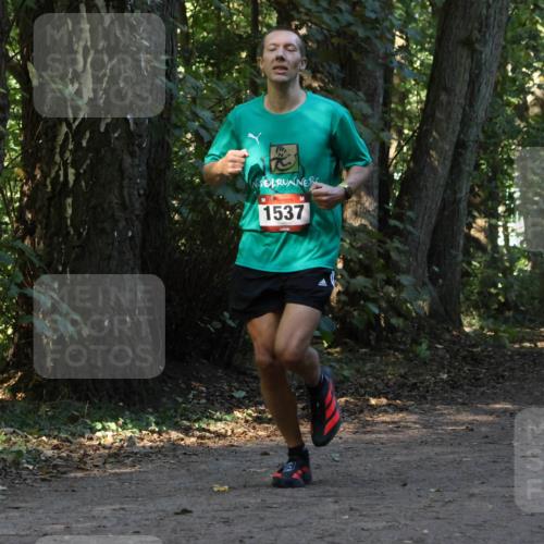 28.09.2025 - 33. Volkslauf durch das schöne Alstertal Strokosch-Dieckow http://msf.ph/oto/8969822 28.09.2025 11:36:27 Laufen 1537, 3072 meine-sportfotos.de