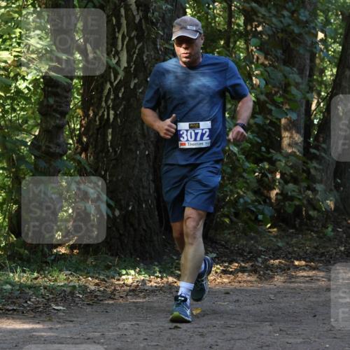 28.09.2025 - 33. Volkslauf durch das schöne Alstertal Strokosch-Dieckow http://msf.ph/oto/8969824 28.09.2025 11:36:32 Laufen 3072 meine-sportfotos.de