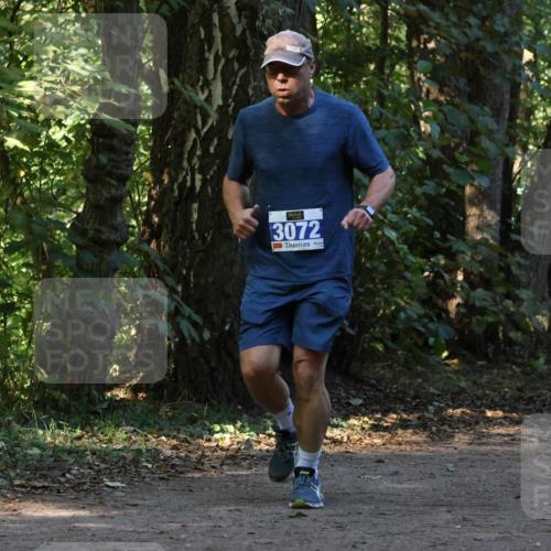 28.09.2025 - 33. Volkslauf durch das schöne Alstertal Strokosch-Dieckow http://msf.ph/oto/8969826 28.09.2025 11:36:32 Laufen 3072 meine-sportfotos.de