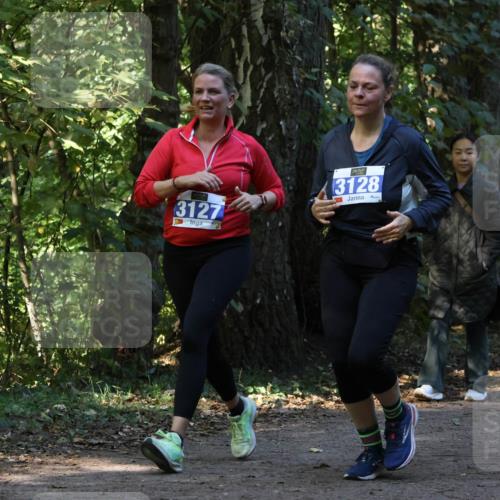28.09.2025 - 33. Volkslauf durch das schöne Alstertal Strokosch-Dieckow http://msf.ph/oto/8969827 28.09.2025 11:36:43 Laufen 3127, 3128, 1557 meine-sportfotos.de
