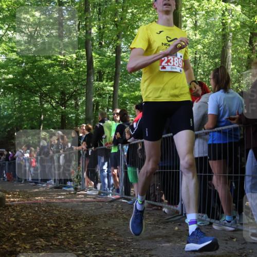 28.09.2025 - 33. Volkslauf durch das schöne Alstertal Strokosch-Dieckow http://msf.ph/oto/8969828 28.09.2025 11:50:35 Ziel 1570, 2389, 2995 meine-sportfotos.de