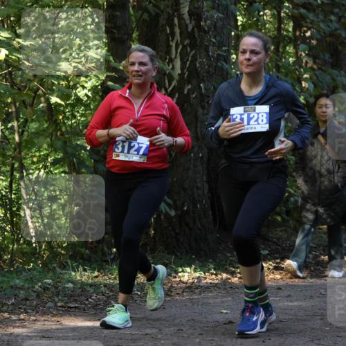 28.09.2025 - 33. Volkslauf durch das schöne Alstertal Strokosch-Dieckow http://msf.ph/oto/8969829 28.09.2025 11:36:43 Laufen 3127, 3128, 1557 meine-sportfotos.de
