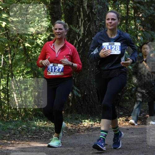 28.09.2025 - 33. Volkslauf durch das schöne Alstertal Strokosch-Dieckow http://msf.ph/oto/8969830 28.09.2025 11:36:43 Laufen 3127, 3128, 1557 meine-sportfotos.de