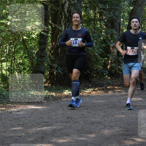 28.09.2025 - 33. Volkslauf durch das schöne Alstertal Strokosch-Dieckow http://msf.ph/oto/8969842 28.09.2025 11:36:52 Laufen 3170, 2626 meine-sportfotos.de