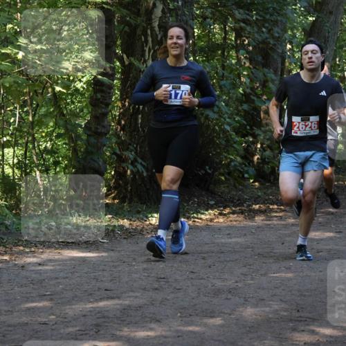 28.09.2025 - 33. Volkslauf durch das schöne Alstertal Strokosch-Dieckow http://msf.ph/oto/8969843 28.09.2025 11:36:52 Laufen 170, 2626 meine-sportfotos.de