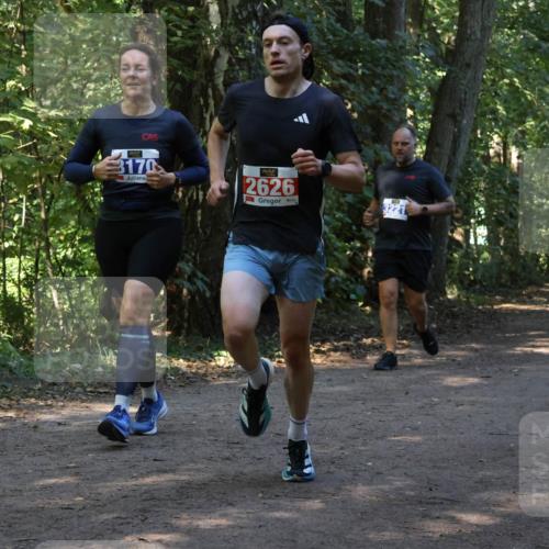 28.09.2025 - 33. Volkslauf durch das schöne Alstertal Strokosch-Dieckow http://msf.ph/oto/8969844 28.09.2025 11:36:53 Laufen 3170, 2626, 3221 meine-sportfotos.de