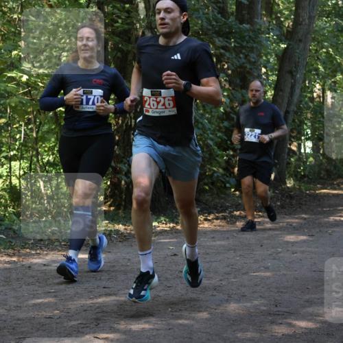 28.09.2025 - 33. Volkslauf durch das schöne Alstertal Strokosch-Dieckow http://msf.ph/oto/8969845 28.09.2025 11:36:53 Laufen 170, 2626, 3221 meine-sportfotos.de