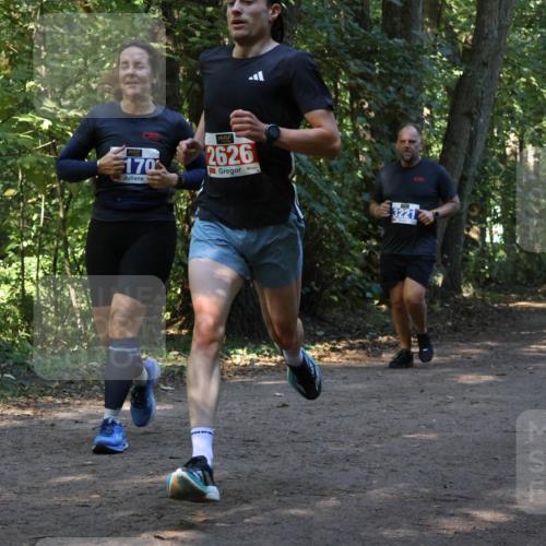 28.09.2025 - 33. Volkslauf durch das schöne Alstertal Strokosch-Dieckow http://msf.ph/oto/8969846 28.09.2025 11:36:53 Laufen 170, 2626, 3221 meine-sportfotos.de