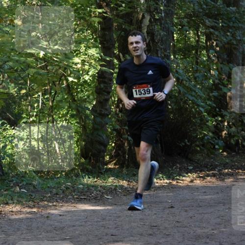28.09.2025 - 33. Volkslauf durch das schöne Alstertal Strokosch-Dieckow http://msf.ph/oto/8969851 28.09.2025 11:36:59 Laufen 1539 meine-sportfotos.de