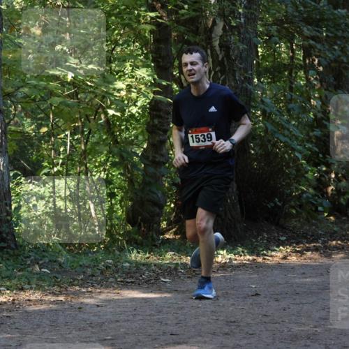 28.09.2025 - 33. Volkslauf durch das schöne Alstertal Strokosch-Dieckow http://msf.ph/oto/8969852 28.09.2025 11:36:59 Laufen 1539 meine-sportfotos.de