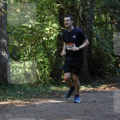 28.09.2025 - 33. Volkslauf durch das schöne Alstertal Strokosch-Dieckow http://msf.ph/oto/8969853 28.09.2025 11:36:59 Laufen 1539 meine-sportfotos.de