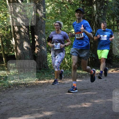 28.09.2025 - 33. Volkslauf durch das schöne Alstertal Strokosch-Dieckow http://msf.ph/oto/8969862 28.09.2025 11:37:12 Laufen 9, 3146, 1527, 3277, 3258 meine-sportfotos.de