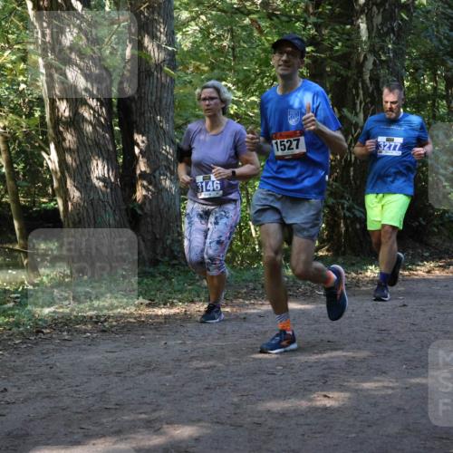 28.09.2025 - 33. Volkslauf durch das schöne Alstertal Strokosch-Dieckow http://msf.ph/oto/8969863 28.09.2025 11:37:12 Laufen 3146, 1527, 3277, 325 meine-sportfotos.de