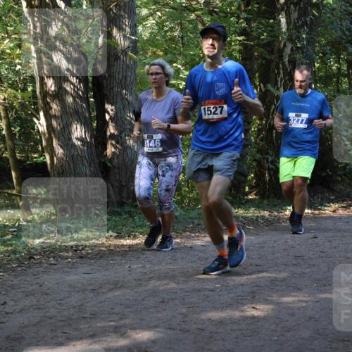 28.09.2025 - 33. Volkslauf durch das schöne Alstertal Strokosch-Dieckow http://msf.ph/oto/8969864 28.09.2025 11:37:12 Laufen 3146, 1527, 3277, 325 meine-sportfotos.de