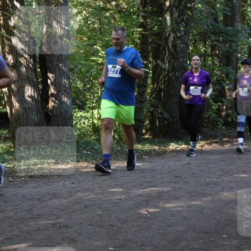 28.09.2025 - 33. Volkslauf durch das schöne Alstertal Strokosch-Dieckow http://msf.ph/oto/8969865 28.09.2025 11:37:13 Laufen 146, 3277, 3258, 3257 meine-sportfotos.de