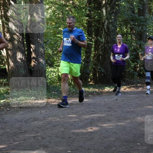 28.09.2025 - 33. Volkslauf durch das schöne Alstertal Strokosch-Dieckow http://msf.ph/oto/8969866 28.09.2025 11:37:13 Laufen 3146, 3277, 8, 3257 meine-sportfotos.de