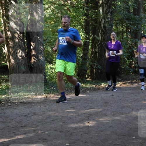 28.09.2025 - 33. Volkslauf durch das schöne Alstertal Strokosch-Dieckow http://msf.ph/oto/8969867 28.09.2025 11:37:13 Laufen 3146, 3277, 2, 3257 meine-sportfotos.de