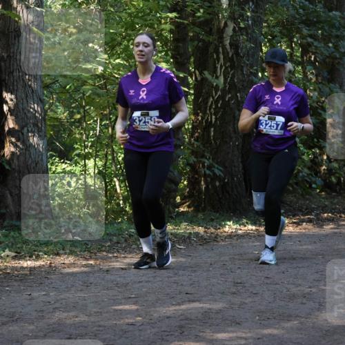 28.09.2025 - 33. Volkslauf durch das schöne Alstertal Strokosch-Dieckow http://msf.ph/oto/8969868 28.09.2025 11:37:14 Laufen 2, 325, 2, 3257 meine-sportfotos.de