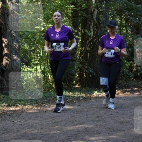 28.09.2025 - 33. Volkslauf durch das schöne Alstertal Strokosch-Dieckow http://msf.ph/oto/8969869 28.09.2025 11:37:14 Laufen 3258, 3257 meine-sportfotos.de