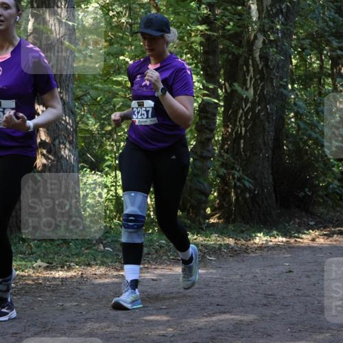 28.09.2025 - 33. Volkslauf durch das schöne Alstertal Strokosch-Dieckow http://msf.ph/oto/8969870 28.09.2025 11:37:15 Laufen 2, 325, 3257 meine-sportfotos.de