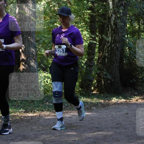 28.09.2025 - 33. Volkslauf durch das schöne Alstertal Strokosch-Dieckow http://msf.ph/oto/8969872 28.09.2025 11:37:15 Laufen 3257 meine-sportfotos.de